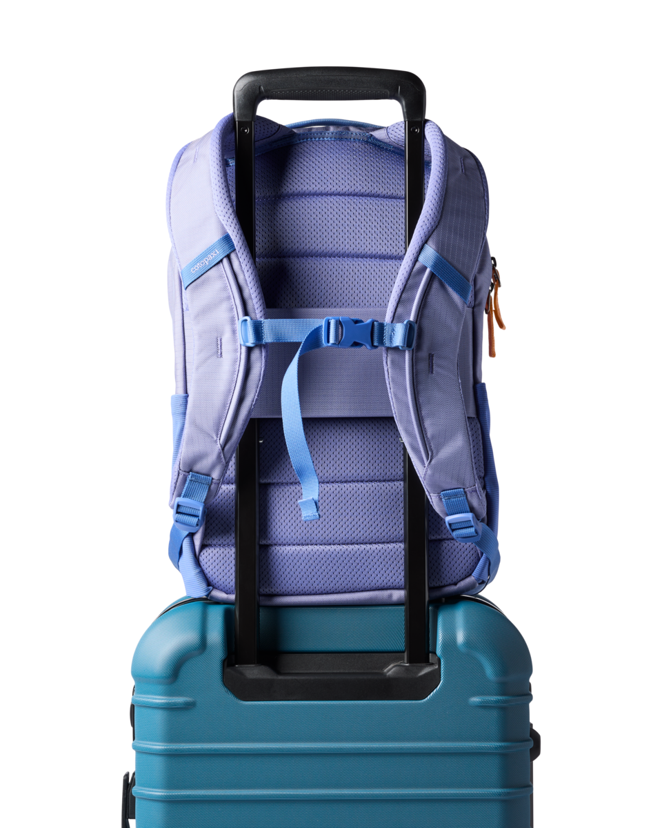 1200x1200png-S26UAllpa18LDaypackAster_A4.png